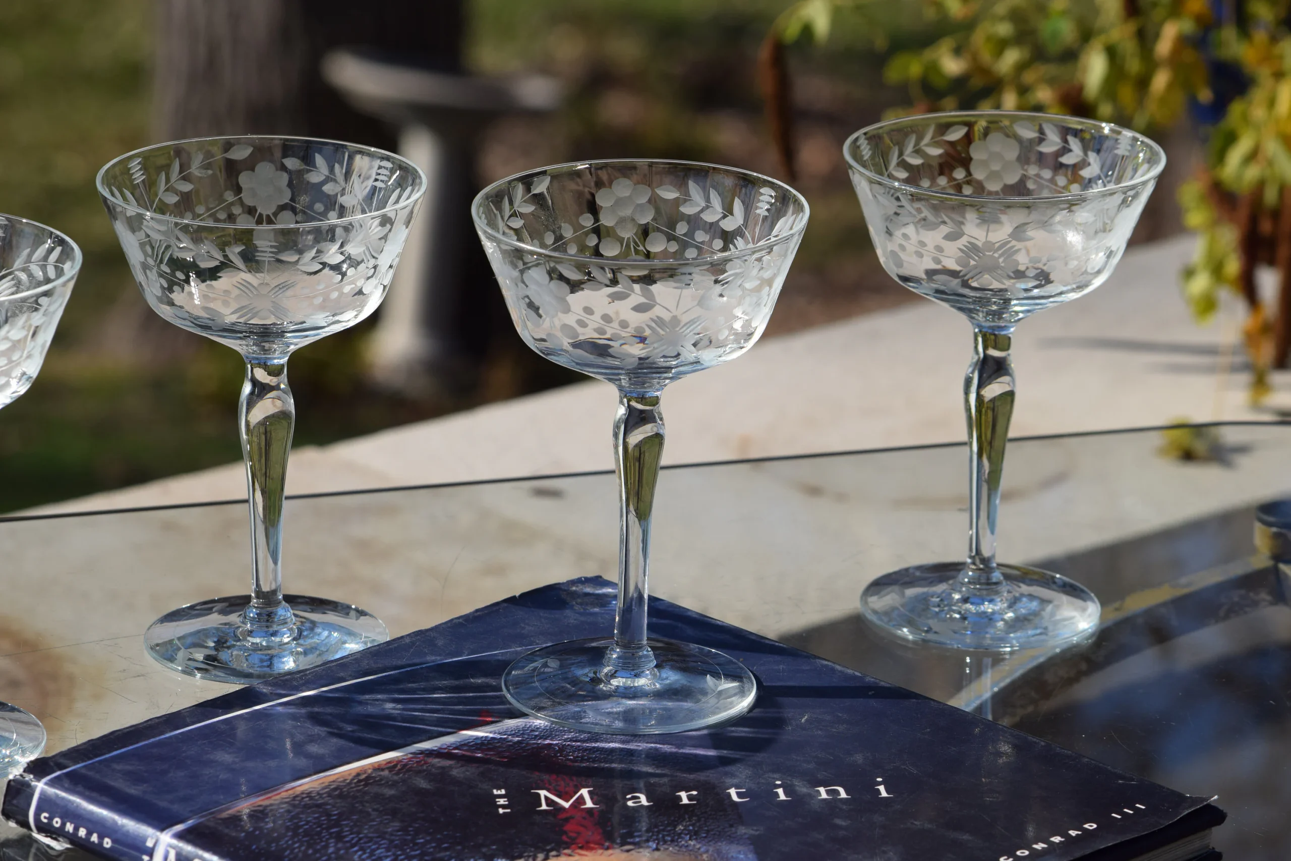 Best Etched Cocktail Glasses